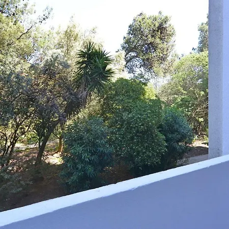 Tropical View - Checkinhome Віавіа
